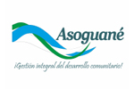 c_asoguane